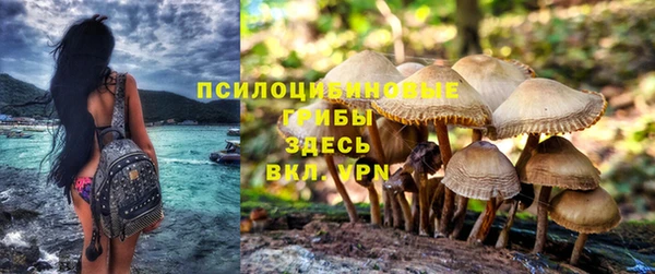 хмурый Алексин