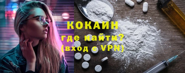 хмурый Алексин