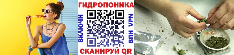 где можно купить   Мураши  Канабис Ganja 